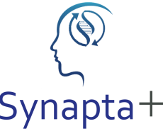 Synapta+ Logo 2025